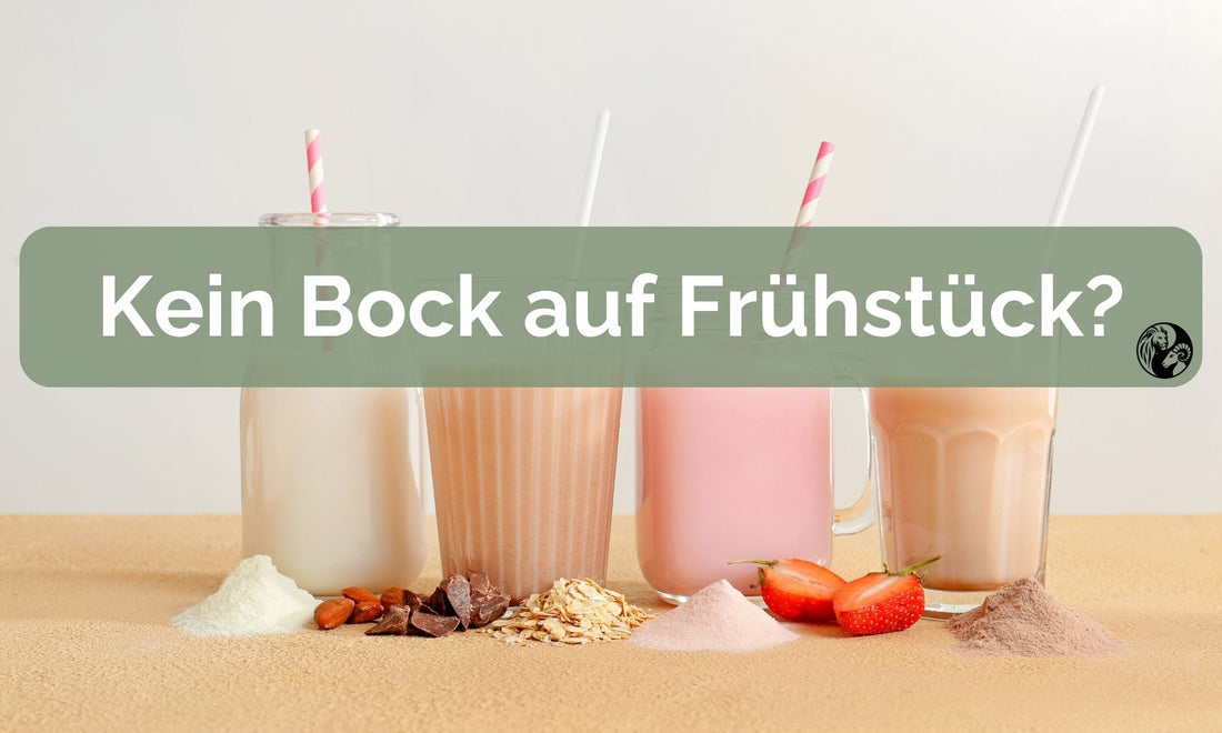 Kein Hunger auf Frühstück? Unser Eiweiß-Shake als schnelle Alternative