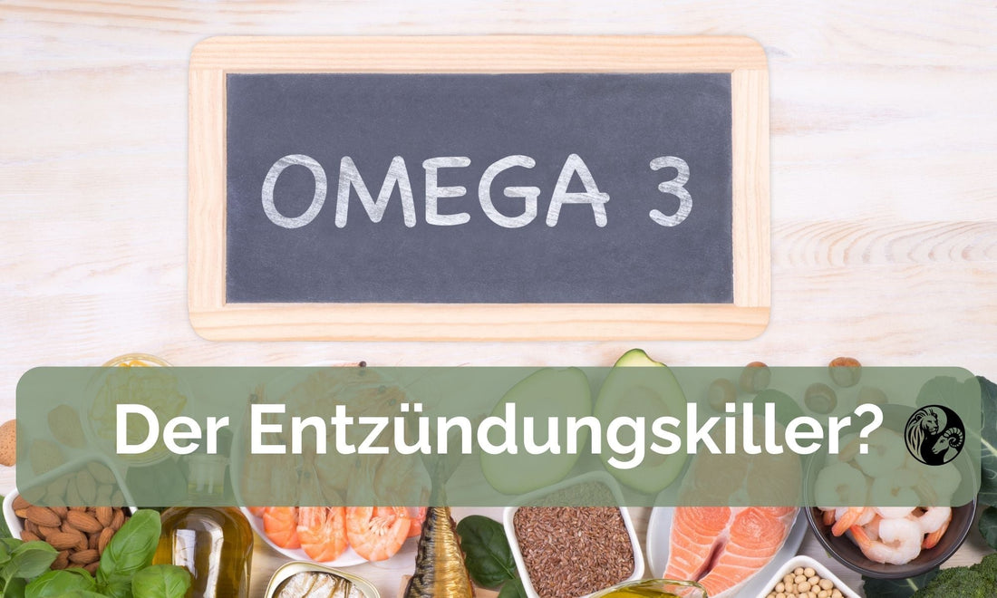 Omega-3 – der Entzündungskiller: Warum diese Fettsäuren so wichtig für den Körper sind