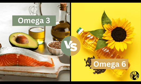 Omega-6 vs. Omega-3: Warum das Fettsäure-Verhältnis so wichtig ist